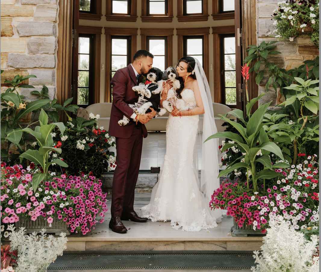 Two dog lovers marry in a lavish five-day canine-friendly celebration
